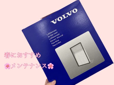 春におすすめメンテナンス