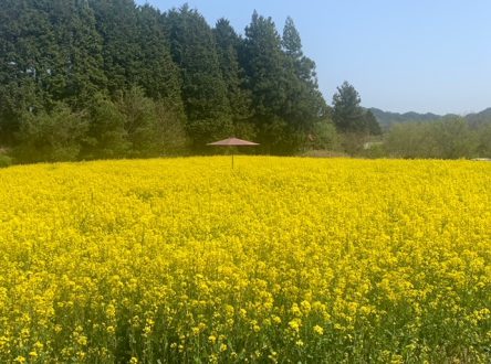 オススメおでかけスポット